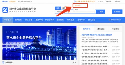 麗水企業(yè) 2021年中小微企業(yè)服務(wù)券申領(lǐng)正式啟動(dòng)，助力信息技術(shù)咨詢(xún)服務(wù)發(fā)展